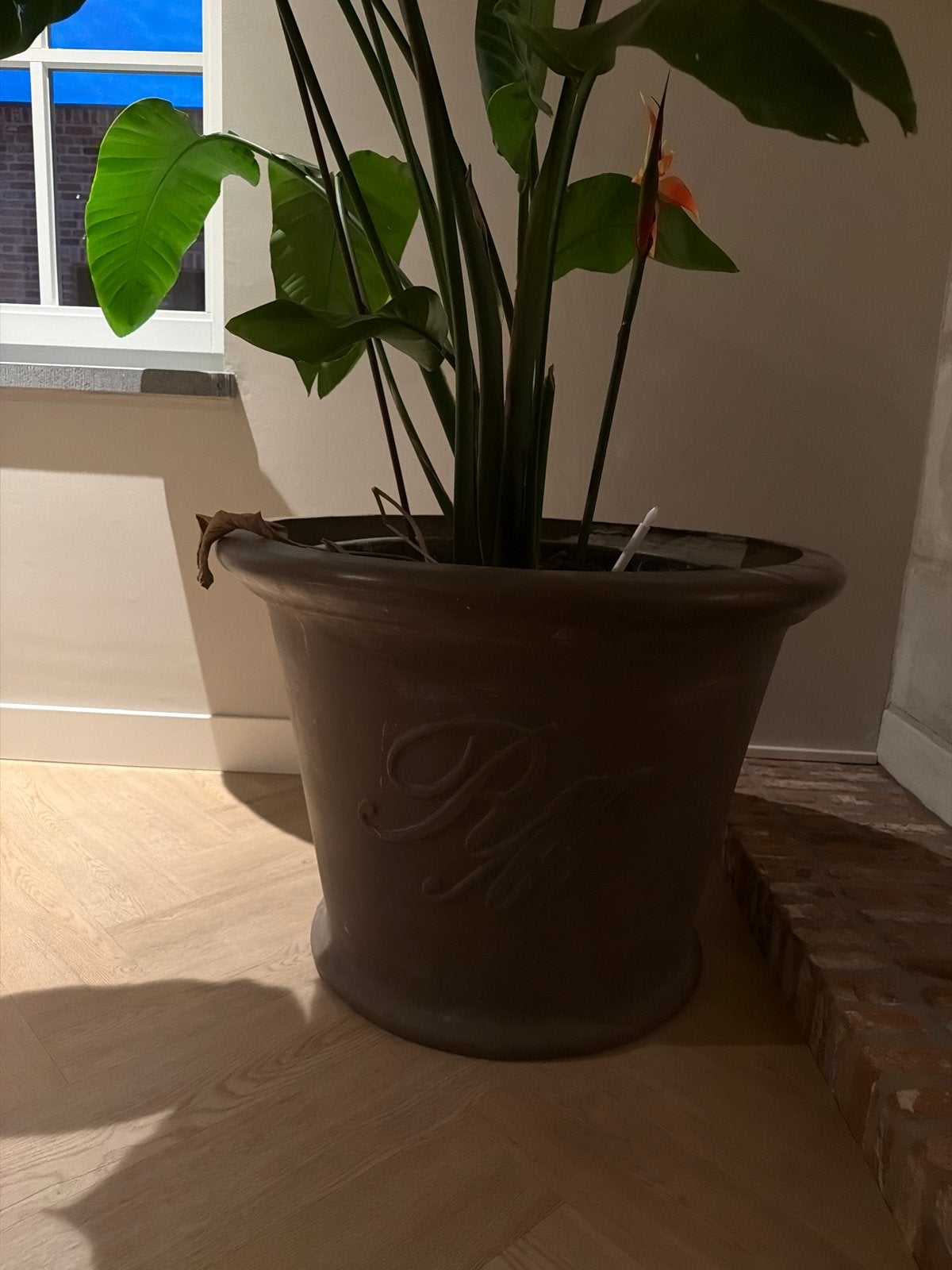 Grote bloempot riviera maison met plant 80 cm doorsnede, Tuin en Terras, Bloempotten, Gebruikt, 40 cm of meer, Rond, Binnen