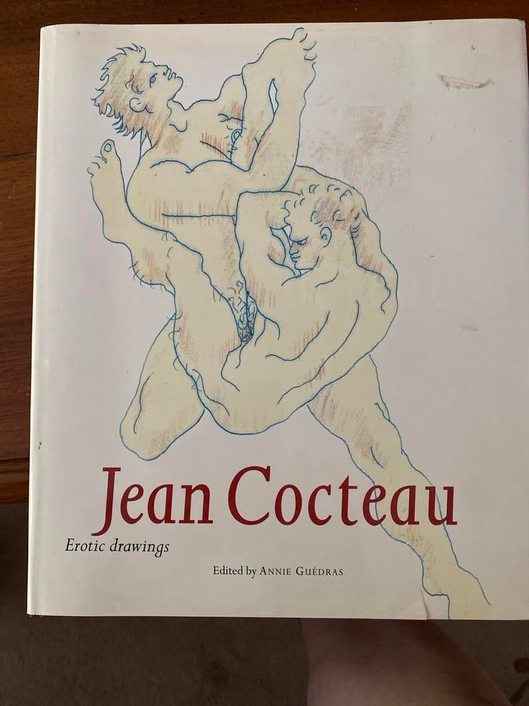 Jean Cocteau: Erotische Tekeningen - Kunstboek, Ophalen of Verzenden, Zo goed als nieuw