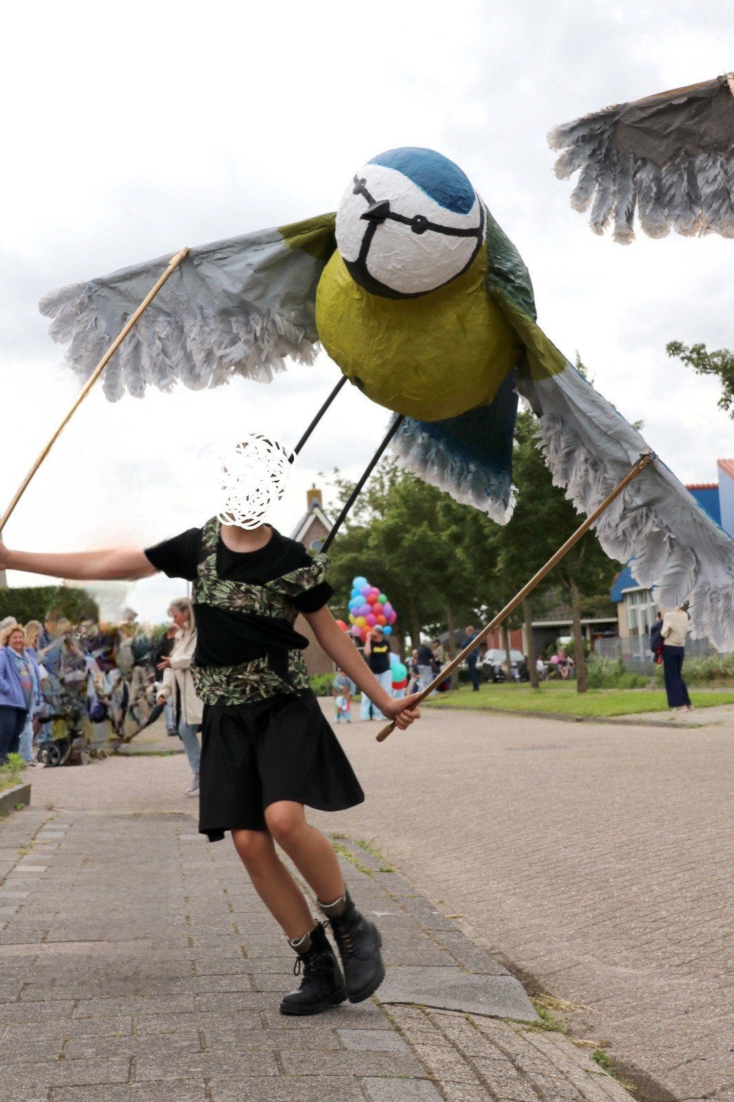 Prachtige vogels, voor optocht, carnaval of decorstukken., Ophalen, Jongen of Meisje