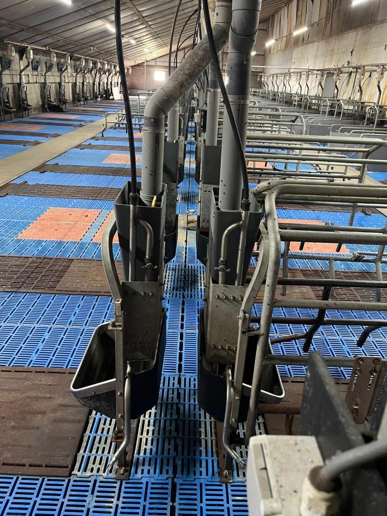 Kraamhokken [264], Dieren en Toebehoren, Boekhorst Trading, Info@boekhorst.com, Singel 16