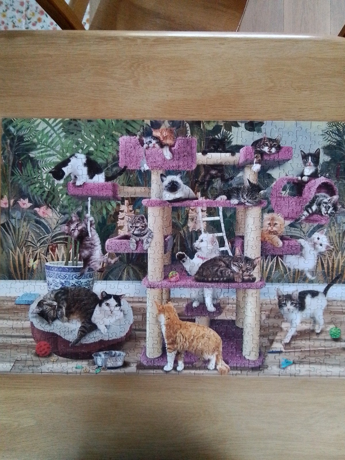 cobble Hill Jungle Cats 10 euro, Ophalen of Verzenden, 500 t/m 1500 stukjes, Zo goed als nieuw