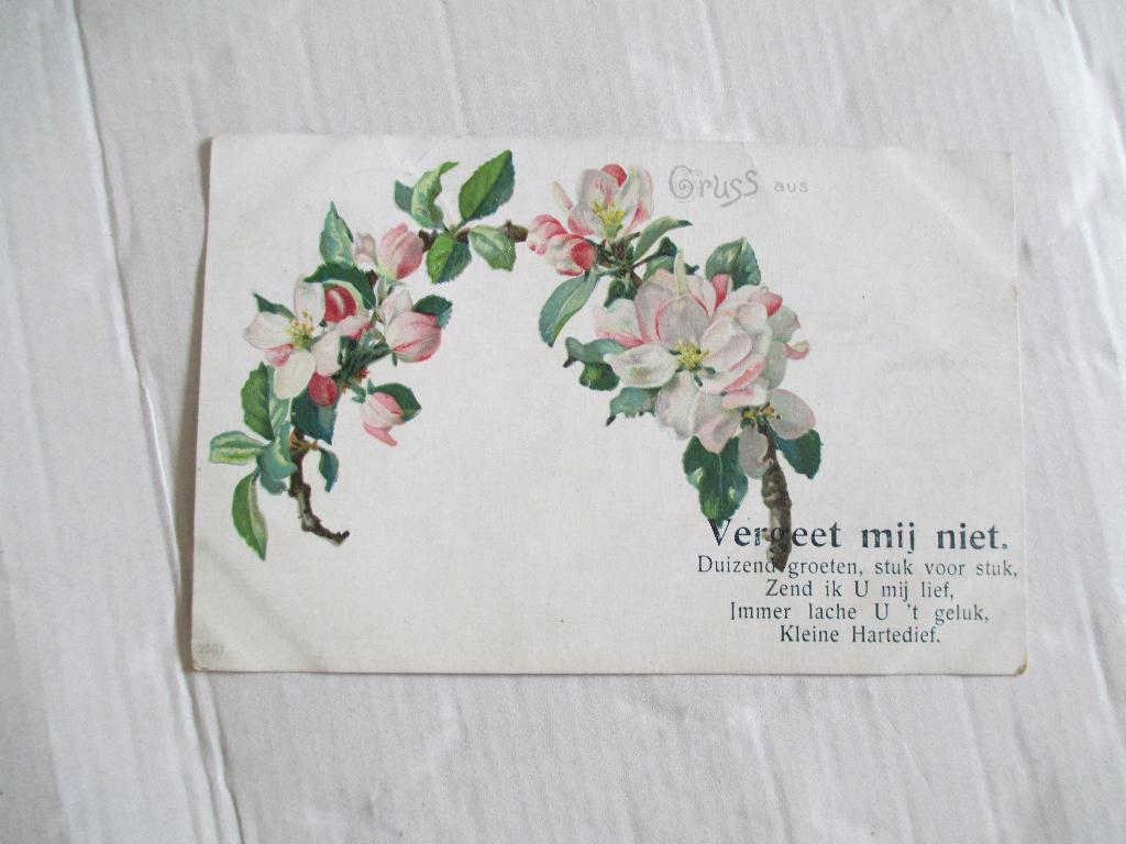 oude ansichtkaart vergeet mij niet met rijm, Ophalen of Verzenden, Voor 1920, Gelopen