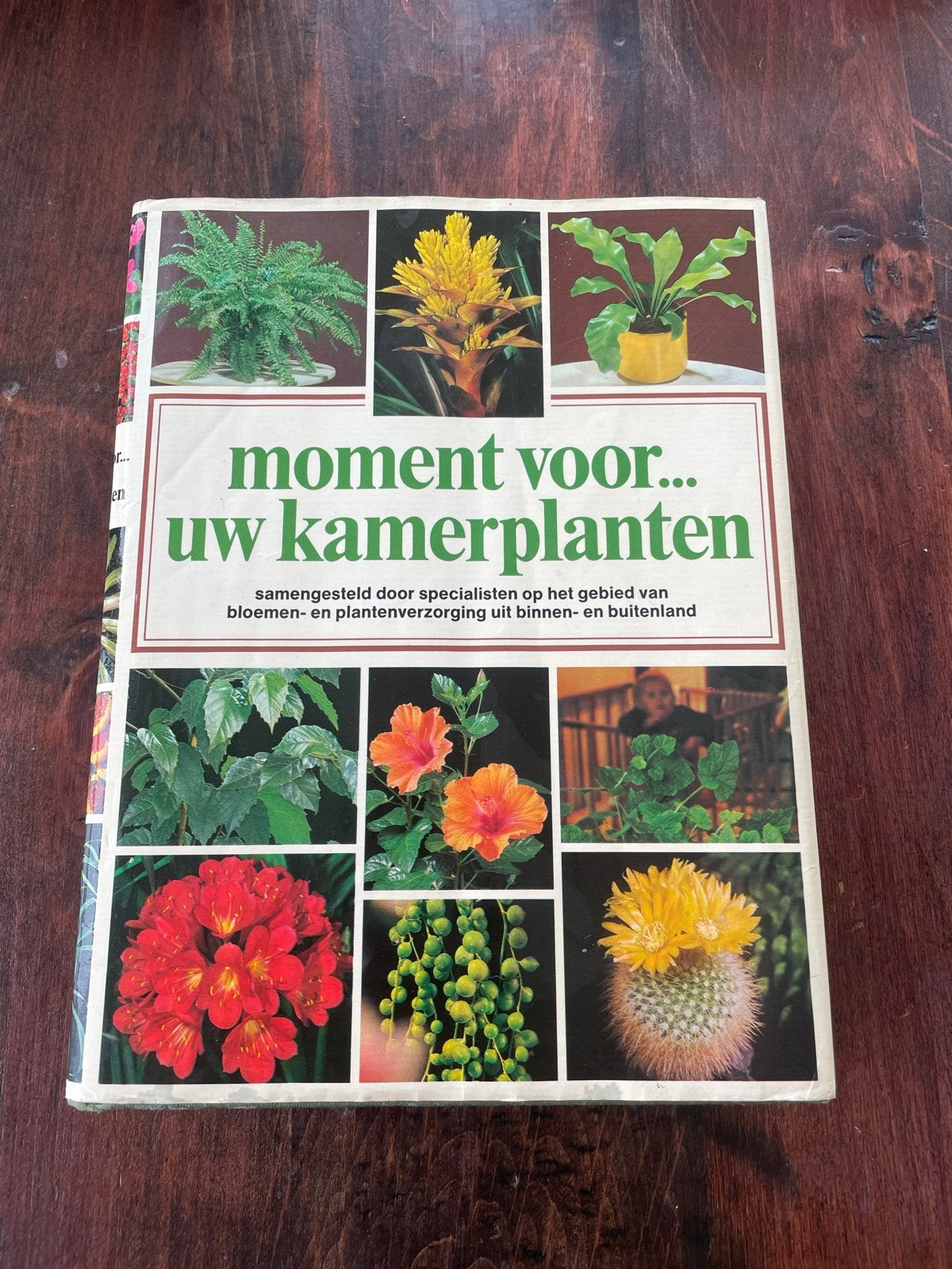 Moment voor... uw kamerplanten - Handboek, Ophalen of Verzenden, Gelezen, Kamerplanten
