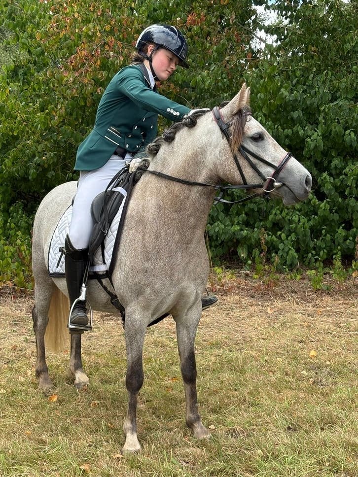 Onwijs coole c-pony!, Dieren en Toebehoren, Merrie, Springpony, 3 tot 6 jaar, C pony (1.27m tot 1.37m)