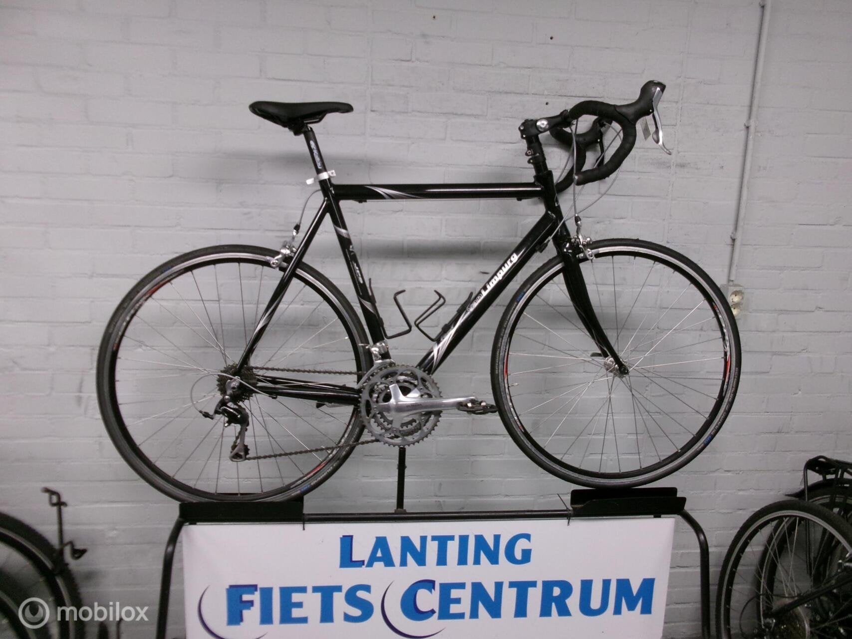 Overig VAN Limpurg 60 CM, 57 tot 61 cm, Gebruikt, Overige merken