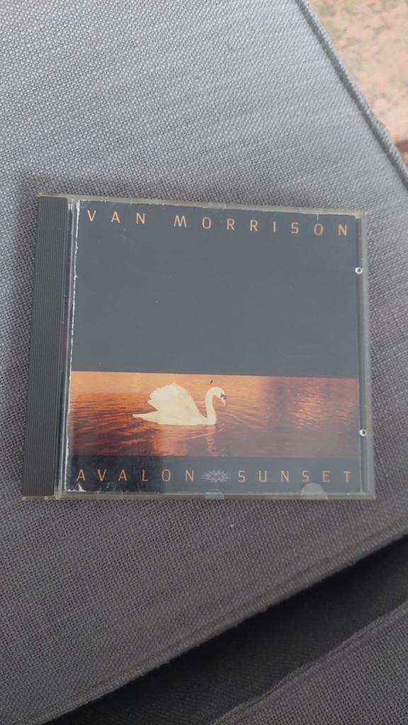 Van Morrison - Avalon Sunset CD, Ophalen of Verzenden, Gebruikt