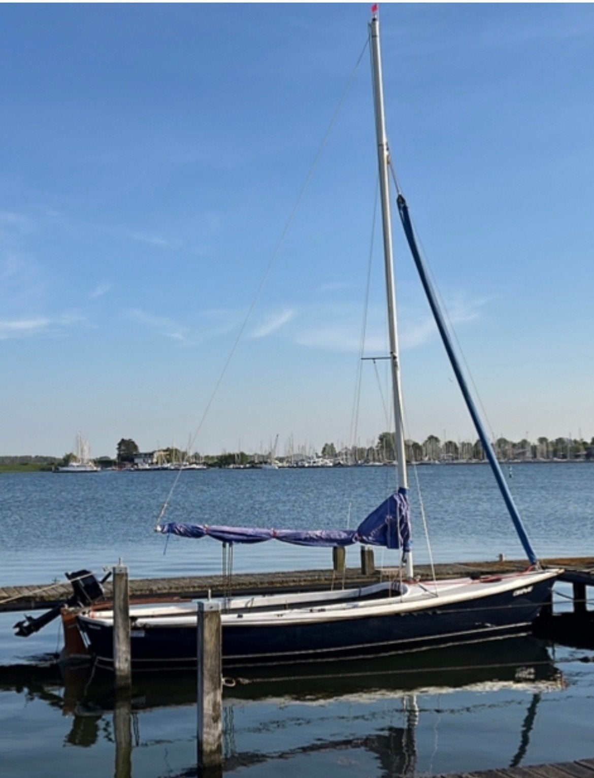 Randmeer classic, Ophalen, Gebruikt, Randmeer, 55 cm