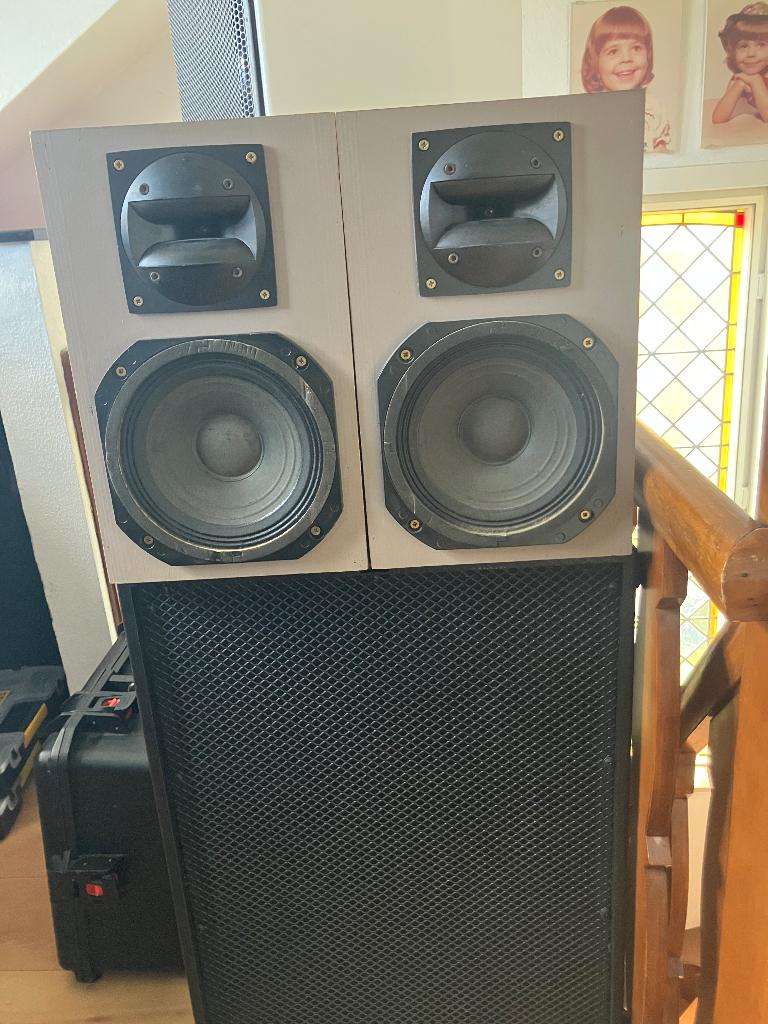 2x zelfbouw Fostex T850 en RCF 8 inch, Audio, Tv en Foto, Luidsprekers, Ophalen, 120 watt of meer, Front, Rear of Stereo speakers