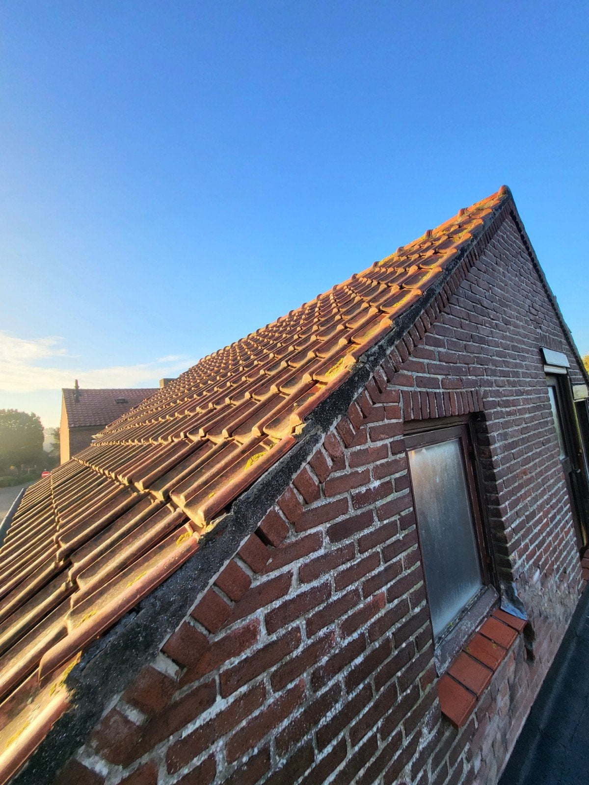 dakpannen Russel-Tiglia VH, Ophalen of Verzenden, Steen of Klei, 15 m² of meer, Dakpannen