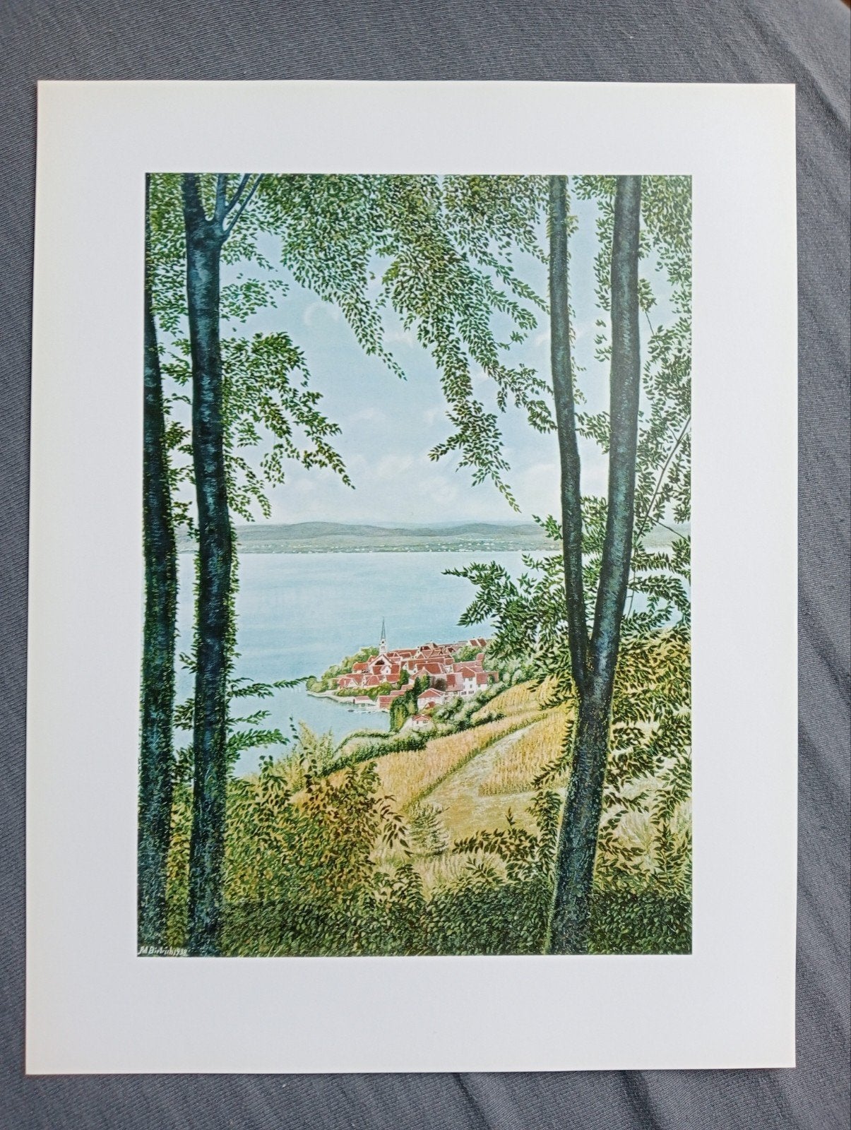 Adolf Dietrich Blick durch die Bäume auf Berlingen print, Verzenden