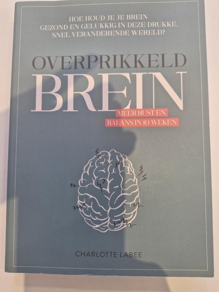Charlotte Labee - Overprikkeld brein, Ophalen of Verzenden, Zo goed als nieuw, Charlotte Labee