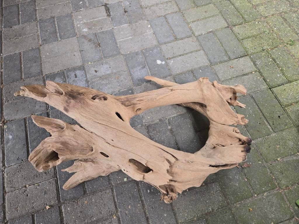 Decoratief drijfhout sculptuur - Uniek natuurstuk 93x53x18, Dieren en Toebehoren, Ophalen of Verzenden