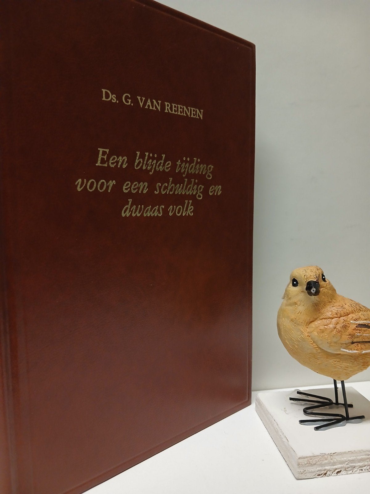 Reenen, Ds. G. van; Een blijde tijding voor een schuldig en, Ophalen of Verzenden, Gelezen, Christendom | Protestants