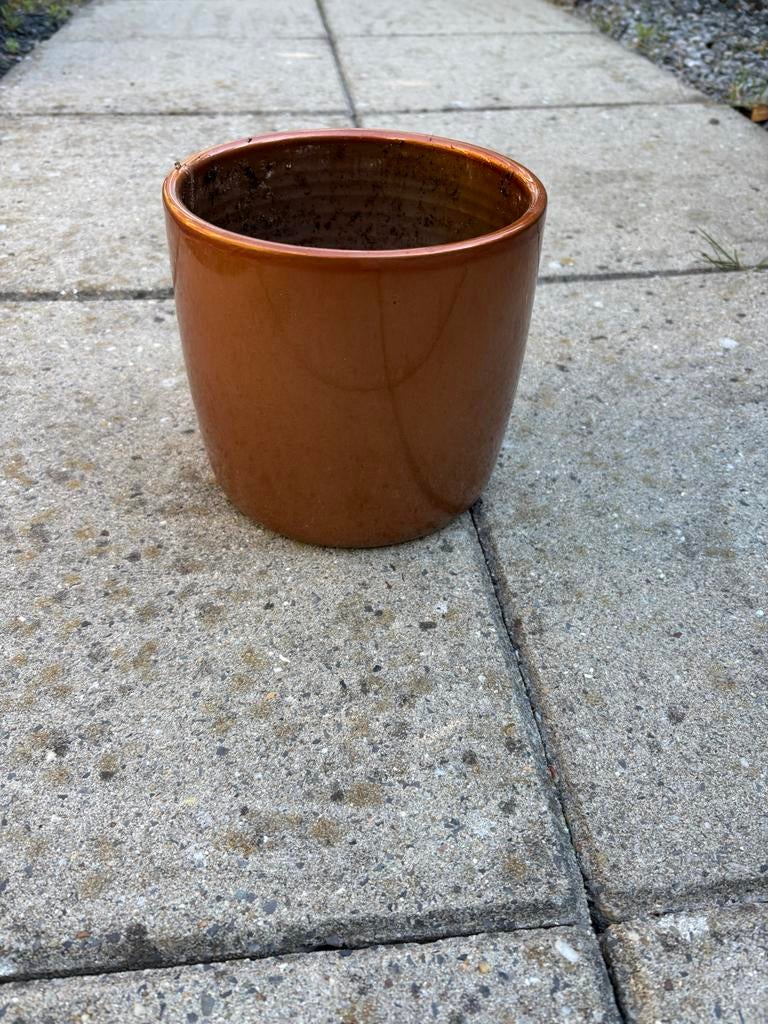 Koperkleurige bloempot, Ophalen of Verzenden, Halfschaduw, Minder dan 100 cm