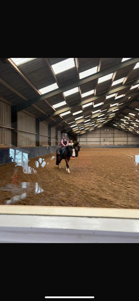 Gezocht: lieve kindvriendelijke verzorgpony, Dieren en Toebehoren, Paarden en Pony's | Overige Paardenspullen, Ophalen of Verzenden