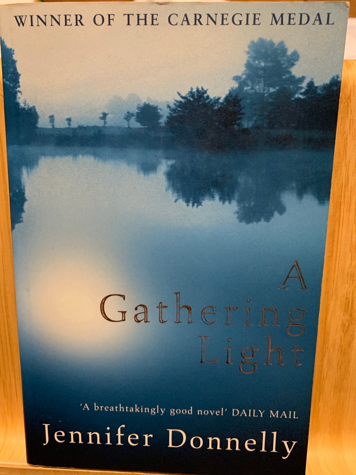 A Gathering Light - Jennifer Donnelly (Engels), Ophalen of Verzenden, Gelezen, Wereld overig