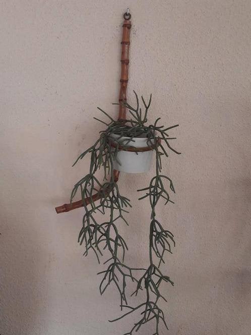 bamboe plantenhanger jaren '60, Verzamelen, Ophalen of Verzenden, Huis en Inrichting