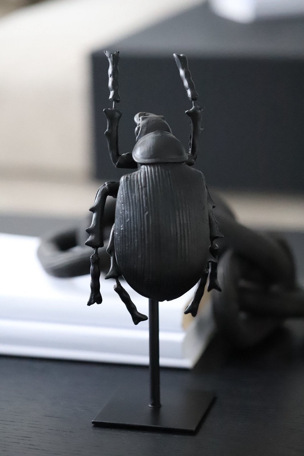 By-Boo Insect op standaard Kever Abbey One Nieuw, Ophalen, Nieuw