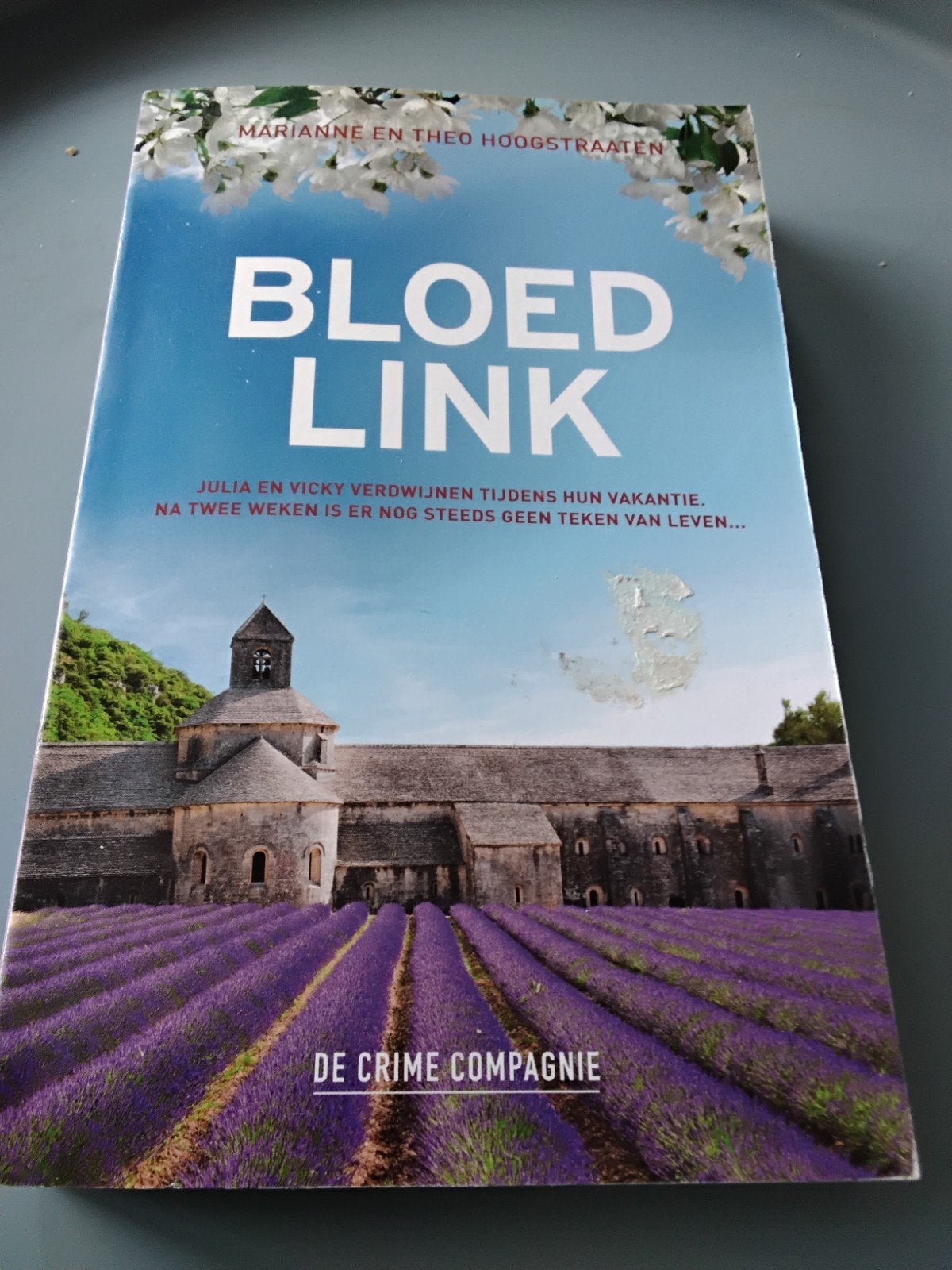 Theo Hoogstraaten - Bloedlink, Ophalen of Verzenden, Zo goed als nieuw, Theo Hoogstraaten; Marianne Hoogstraaten