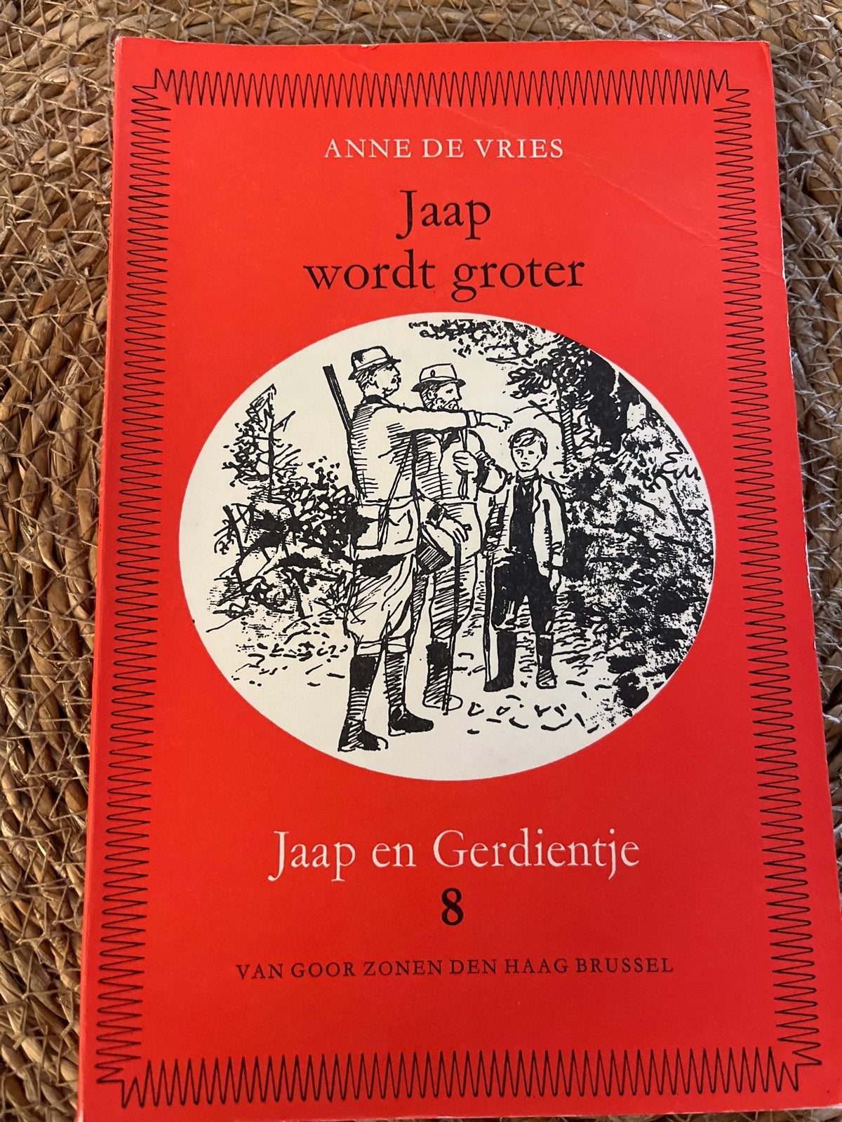 Jaap wordt groter - Jaap en Gerdientje 8 - Anne de Vries, Ophalen of Verzenden, Gelezen, Fictie algemeen
