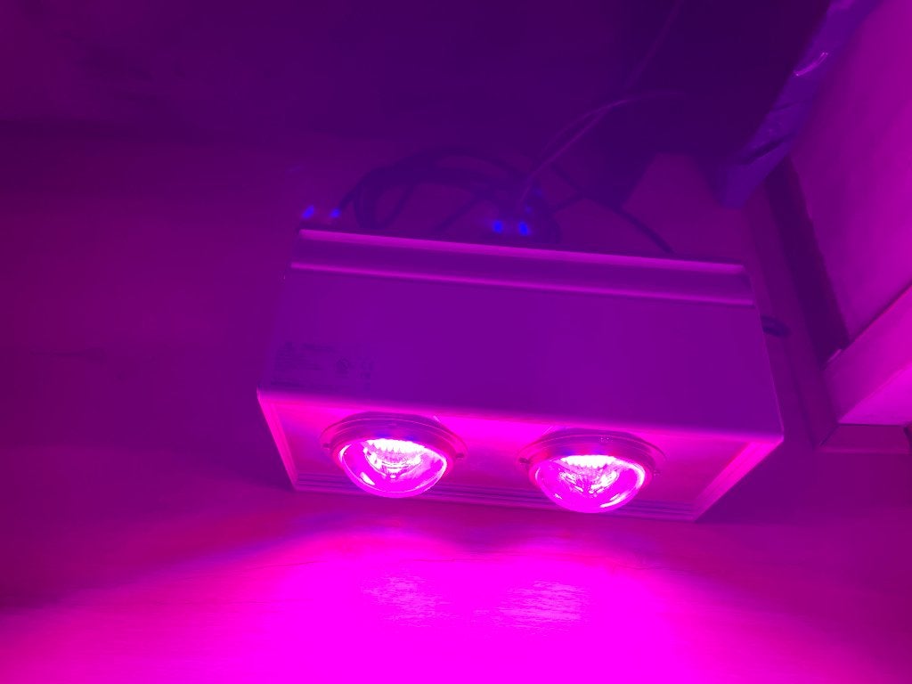 PARUS PGL-RA 350 professionele LED grow light te koop., Ophalen, Volle zon, Overige soorten, Minder dan 100 cm