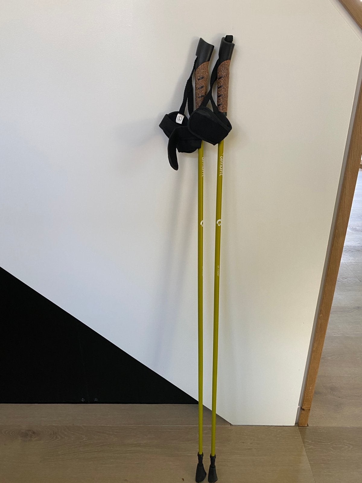 Nordicwalking stokken., Ophalen, Nieuw, Wandelstok