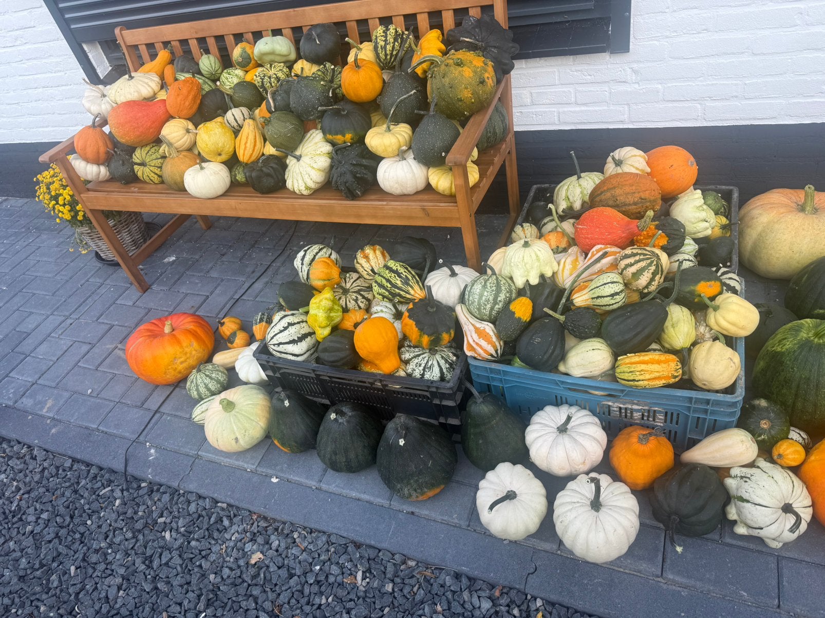 Sierpompoenen/ kalebassen, Tuin en Terras, Overige Tuin en Terras, Ophalen, Zo goed als nieuw