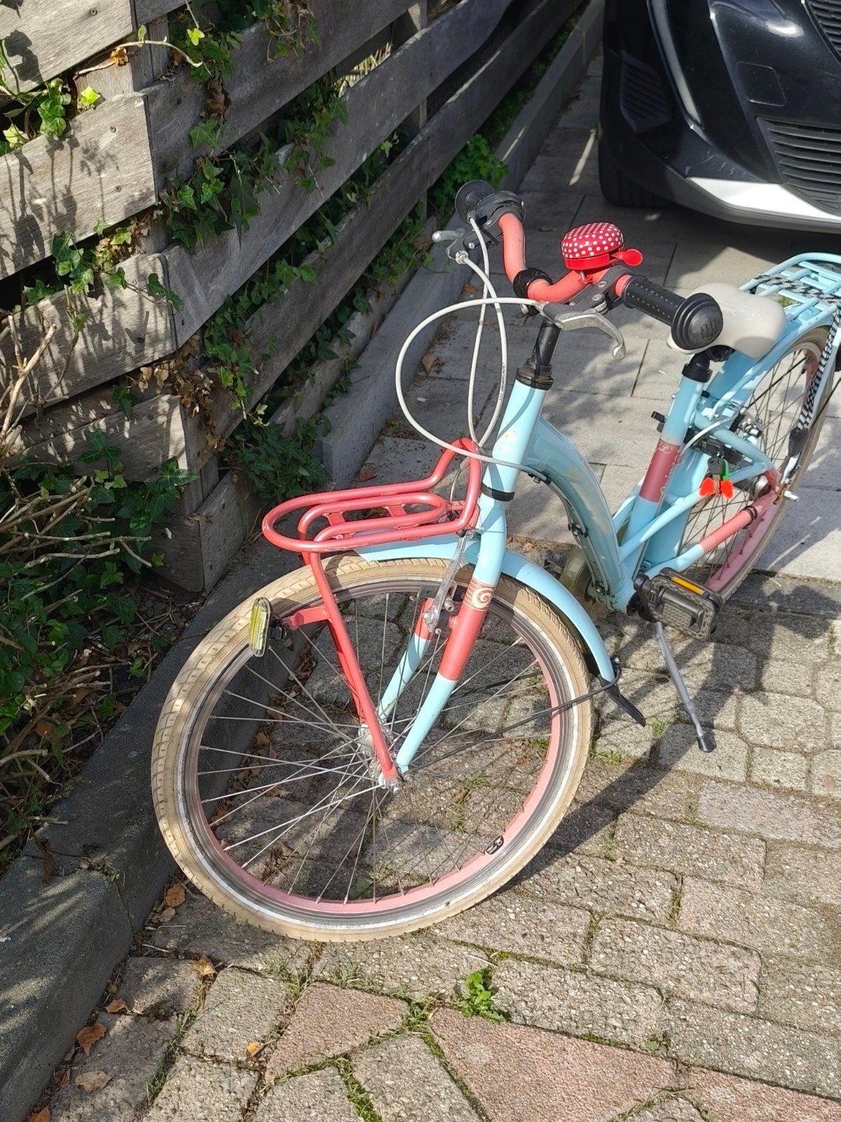 Loekie Prinses 22 inch met 3 versnellingen, Ophalen, Gebruikt, 22 inch, Versnellingen