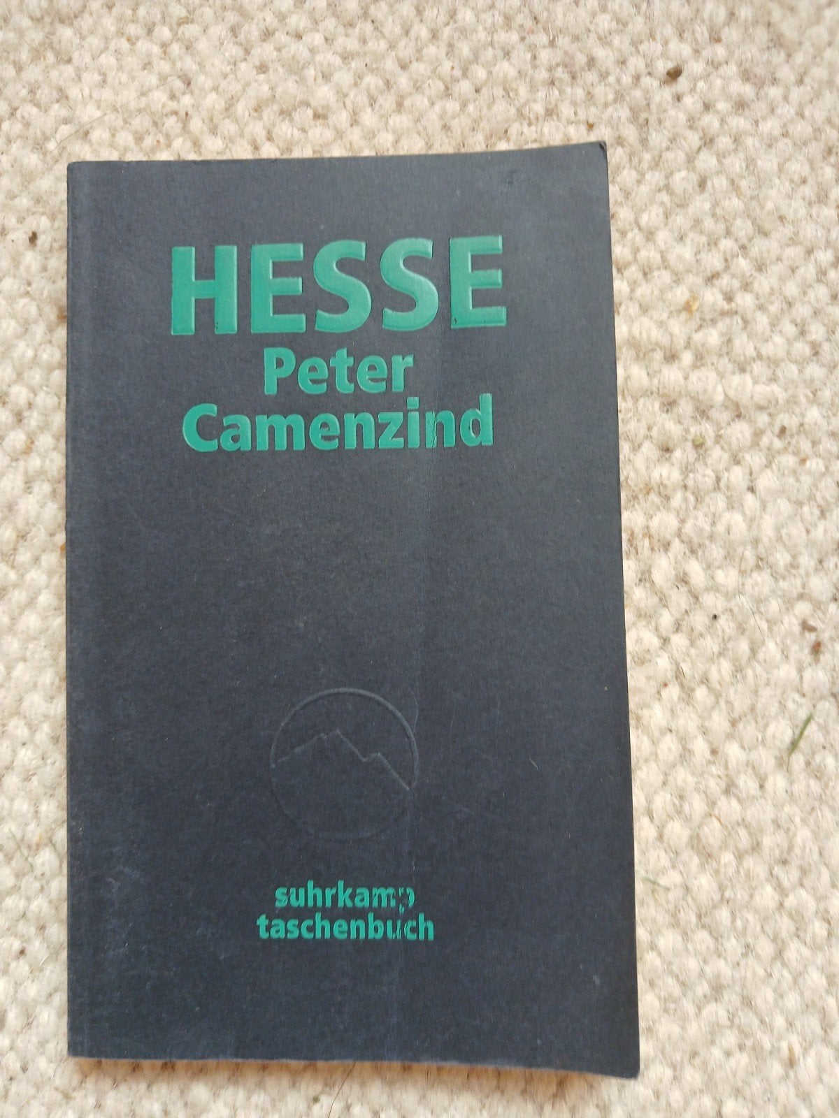 hermann hesse, Boeken, Ophalen of Verzenden, Zo goed als nieuw