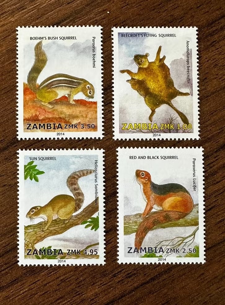 Zambia 2014 eekhoorns dieren postfris set, Ophalen of Verzenden, Zambia, Postfris