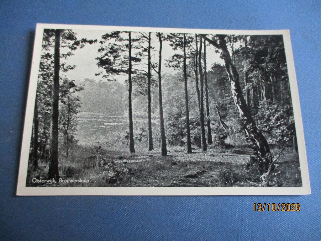 Oisterwijk, Ophalen of Verzenden, Voor 1920, Ongelopen, Noord-Brabant