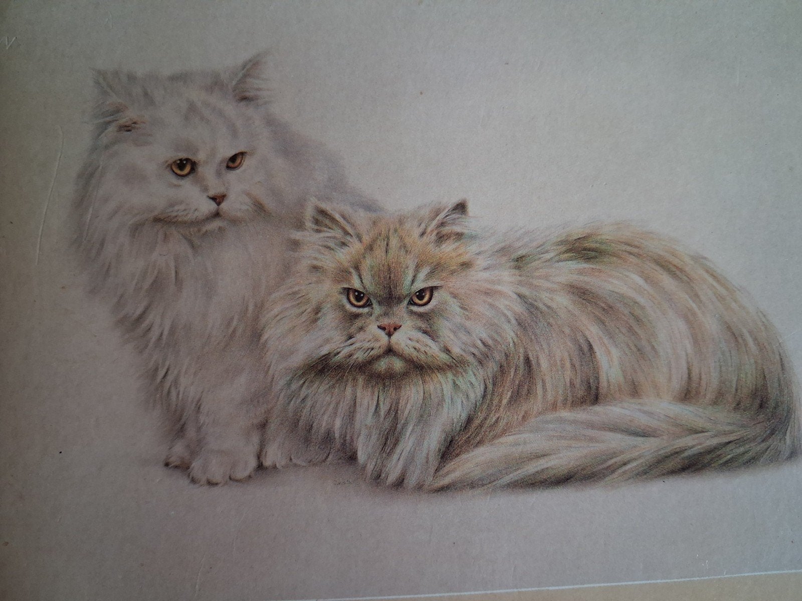 De mooiste kattenverhalen (D), Ophalen of Verzenden, Zo goed als nieuw, Zie advertentie, Katten