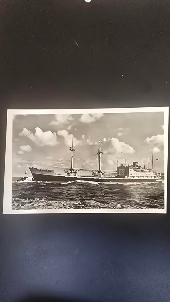 Ansichtkaart ms Ammon - KNSM - Koninklijke Nederlan, Ophalen of Verzenden, Kaart, Foto of Prent