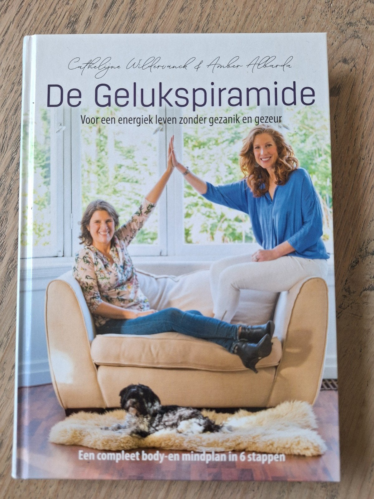 Cathelijne Wildervanck - De Gelukspiramide, Ophalen of Verzenden, Zo goed als nieuw, Cathelijne Wildervanck; Amber Albarda