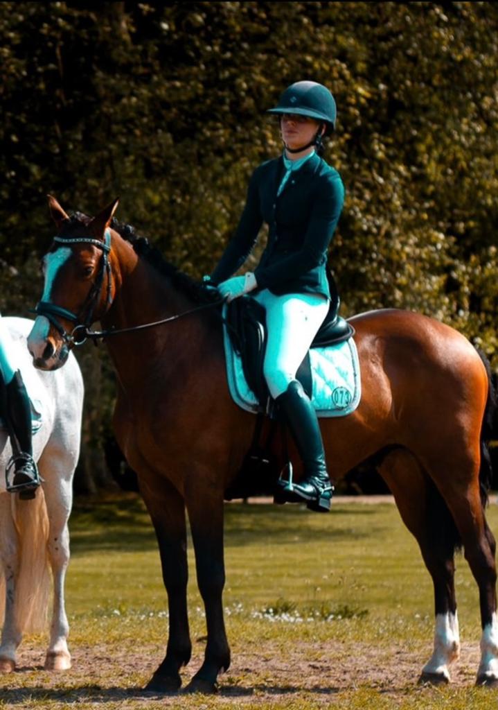Brave betrouwbare ruin, Dieren en Toebehoren, Pony's, Ruin