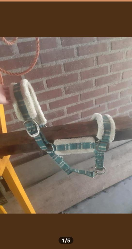 Zacht blauw halster GHP maat: Pony, Dieren en Toebehoren, Paarden en Pony's | Hoofdstellen en Tuigage, Ophalen of Verzenden, Zo goed als nieuw