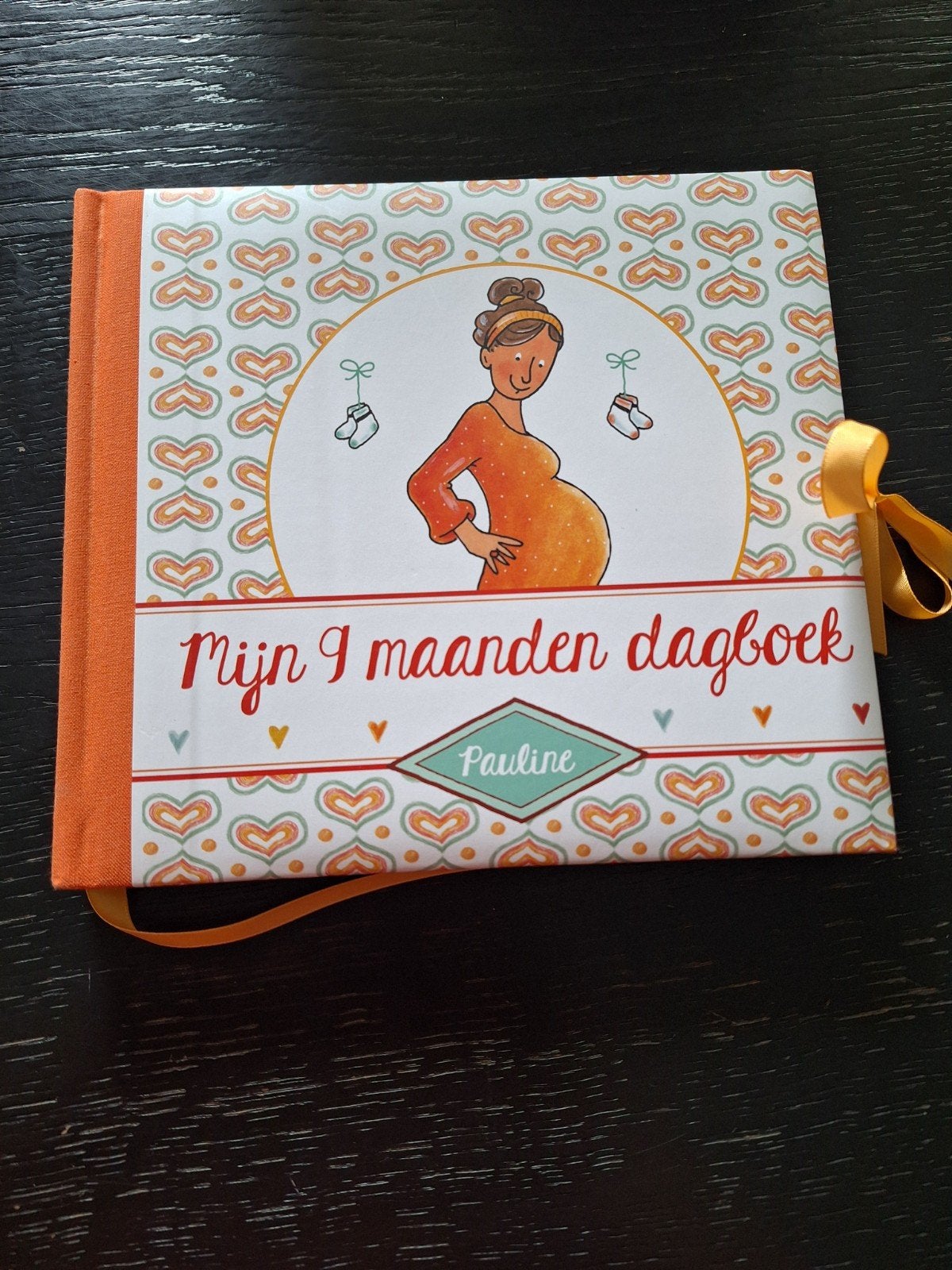 Mijn 9 maanden dagboek - Pauline, Zwangerschap en Bevalling, Nieuw, Ophalen of Verzenden, Pauline