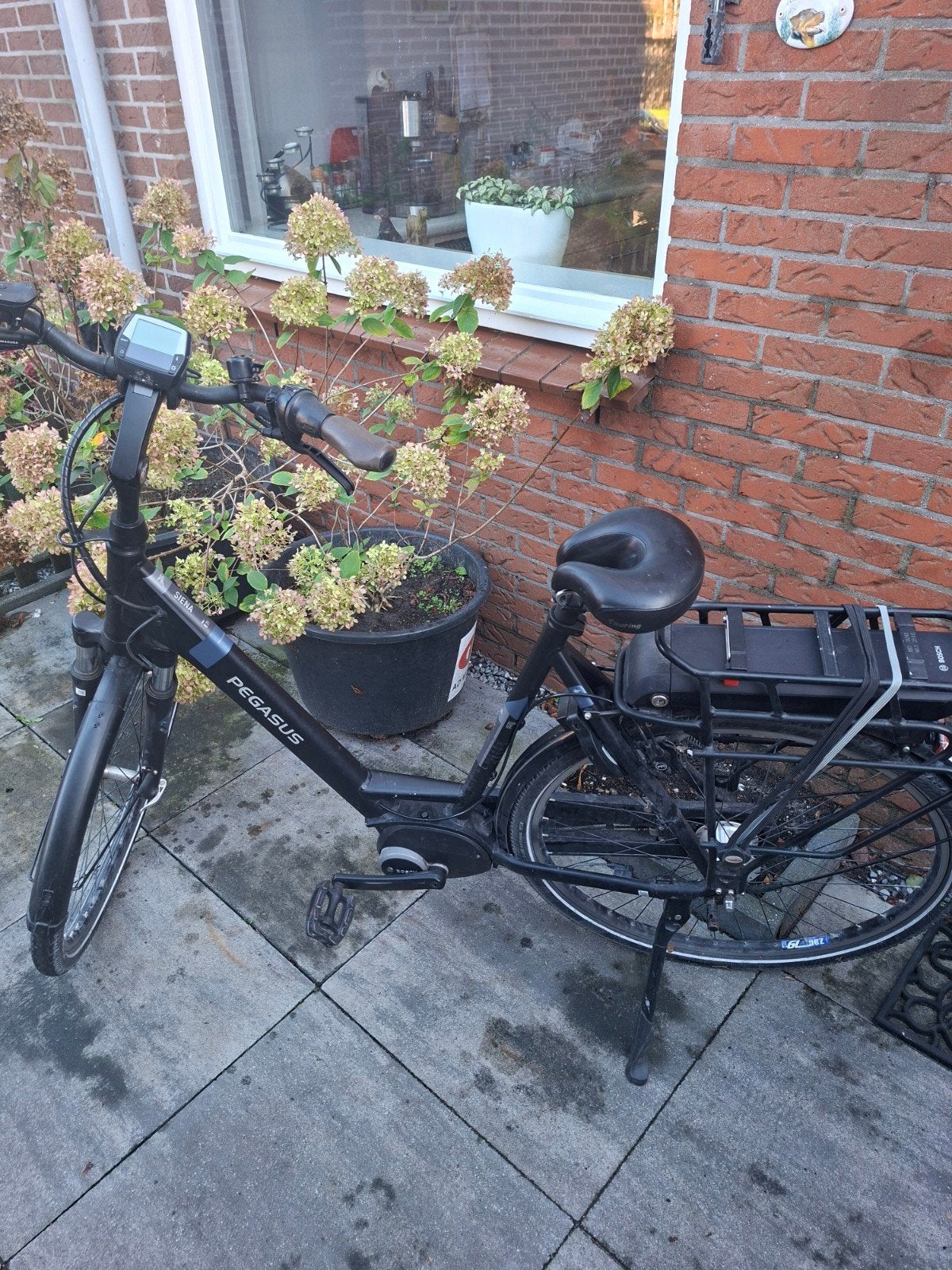 elextricefiets pegasus, Ophalen of Verzenden