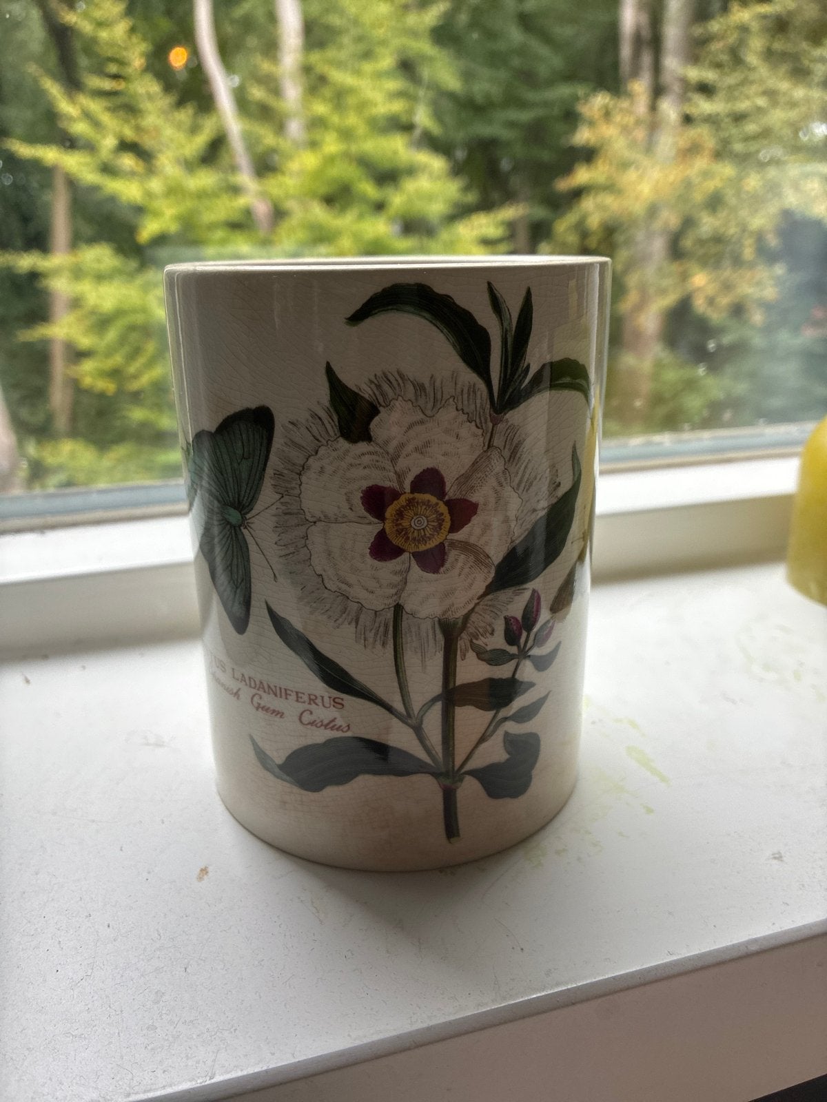 Portmeirion The Botanic Garden Pot/Kruik met vlinder en bloe, Gebruikt, Porselein of Keramiek, Rond, Pot of Kruik