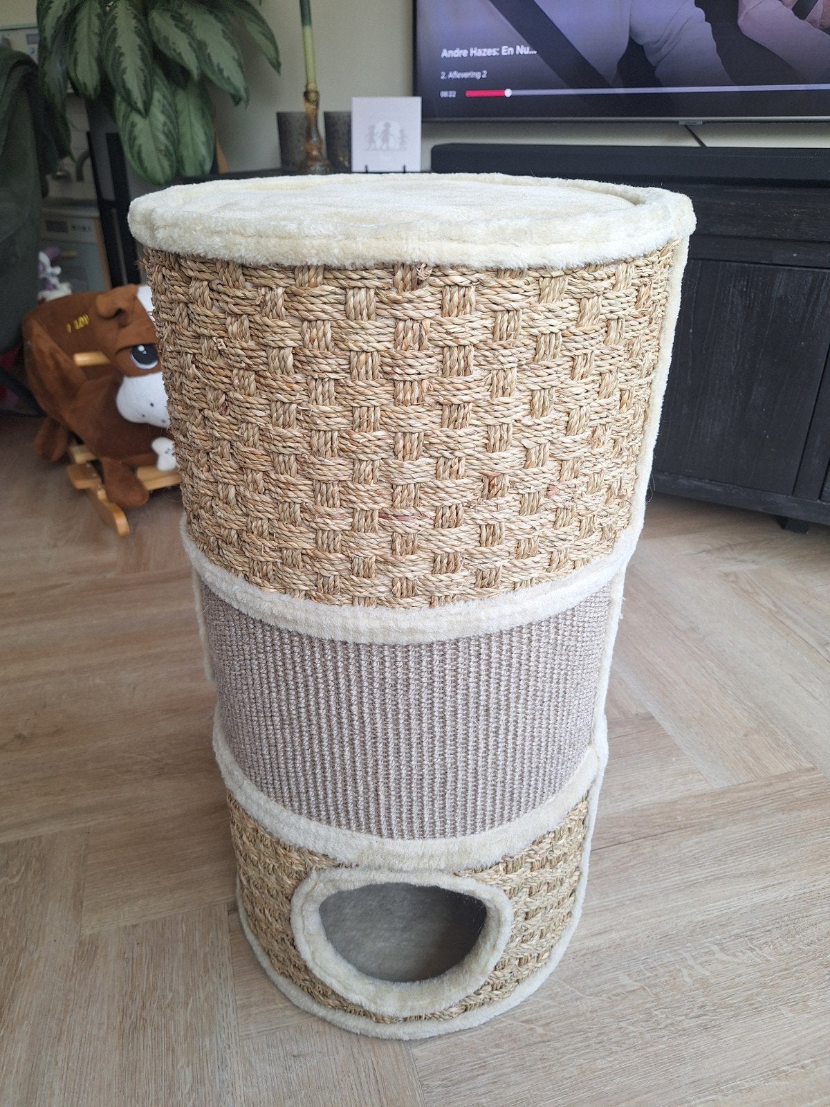 katten krabton, Dieren en Toebehoren, Ophalen, Gebruikt, Krabton