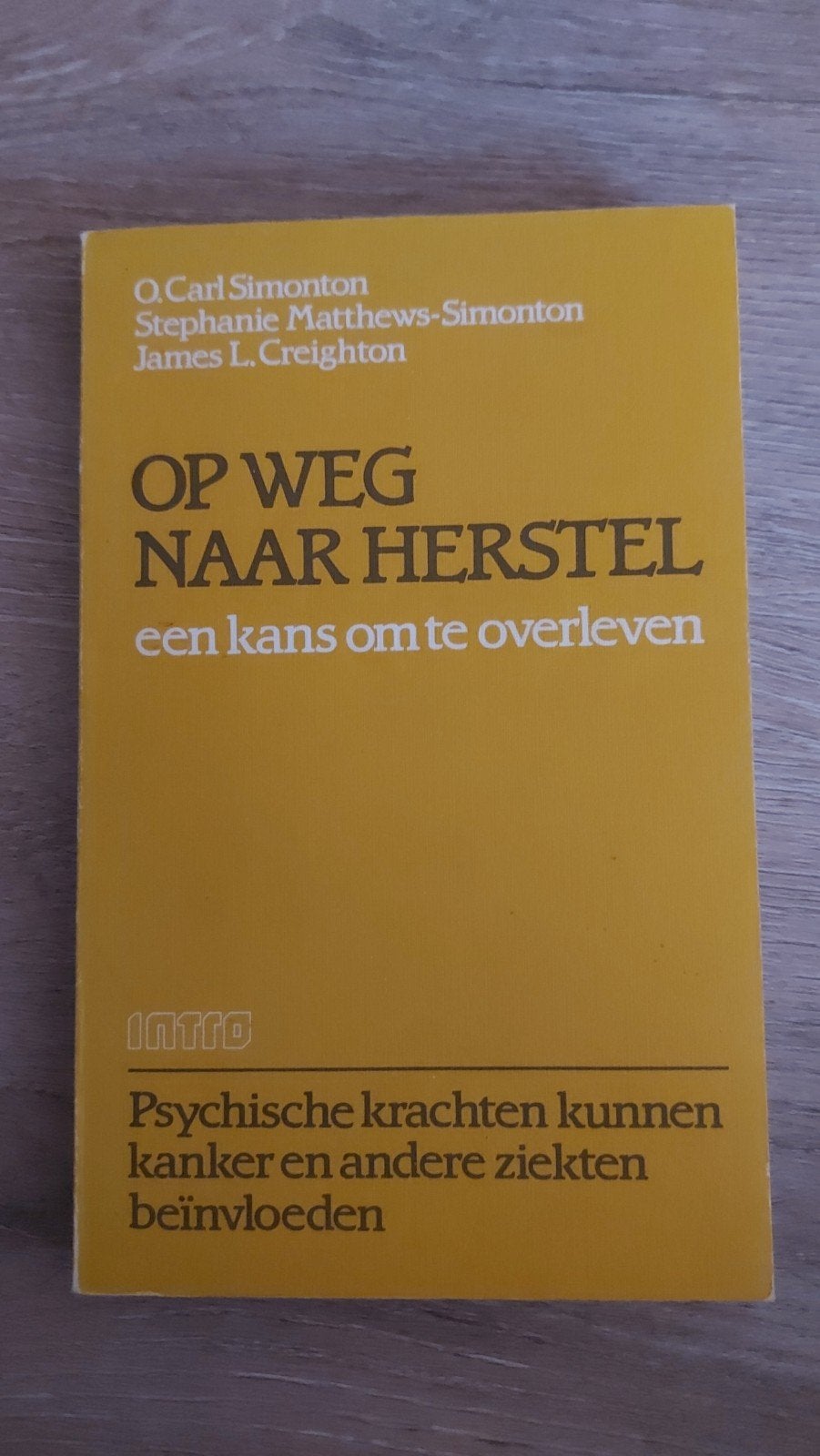BB3: Op Weg Naar Herstel: Een Kans Om Te Overleven, Boeken, Ophalen of Verzenden, Gelezen, Ziekte en Allergie