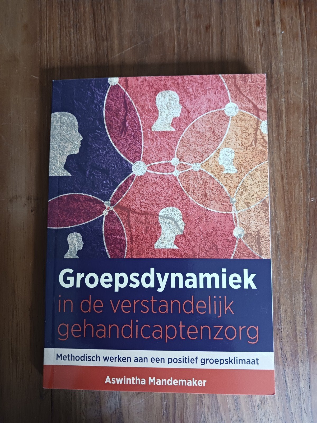 Groepsdynamiek in de verstandelijk gehandicaptenzorg, Ophalen of Verzenden, Zo goed als nieuw, MBO, Aswintha Mandemaker