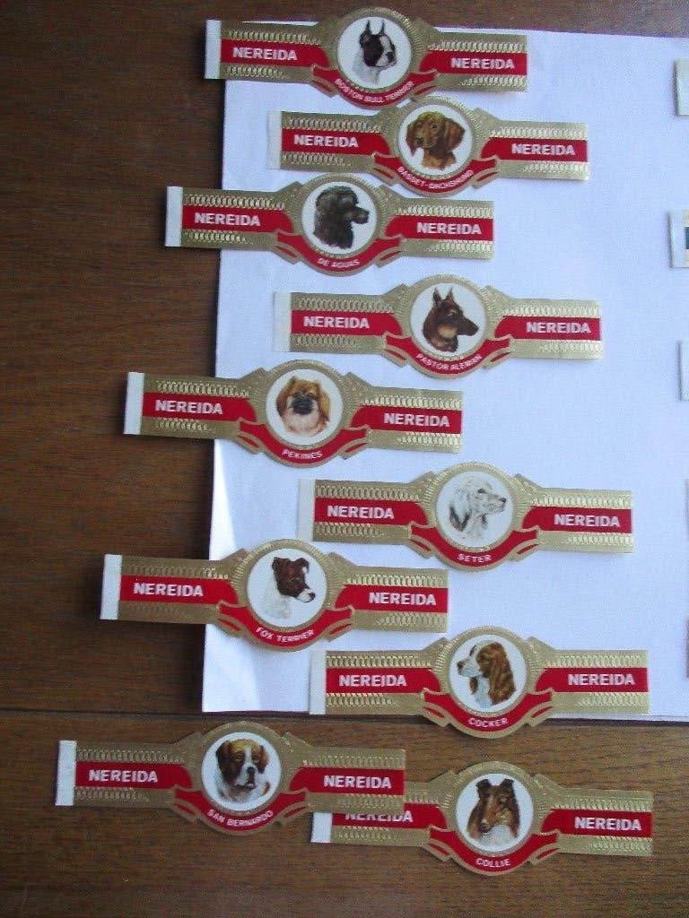 Sigarenbandjes, Verzenden, Nieuw, Sigarenbandjes