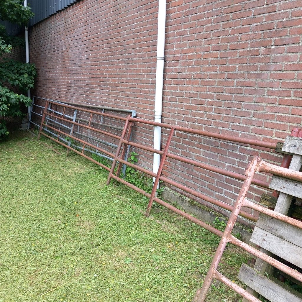Weidehekken, Weidegang