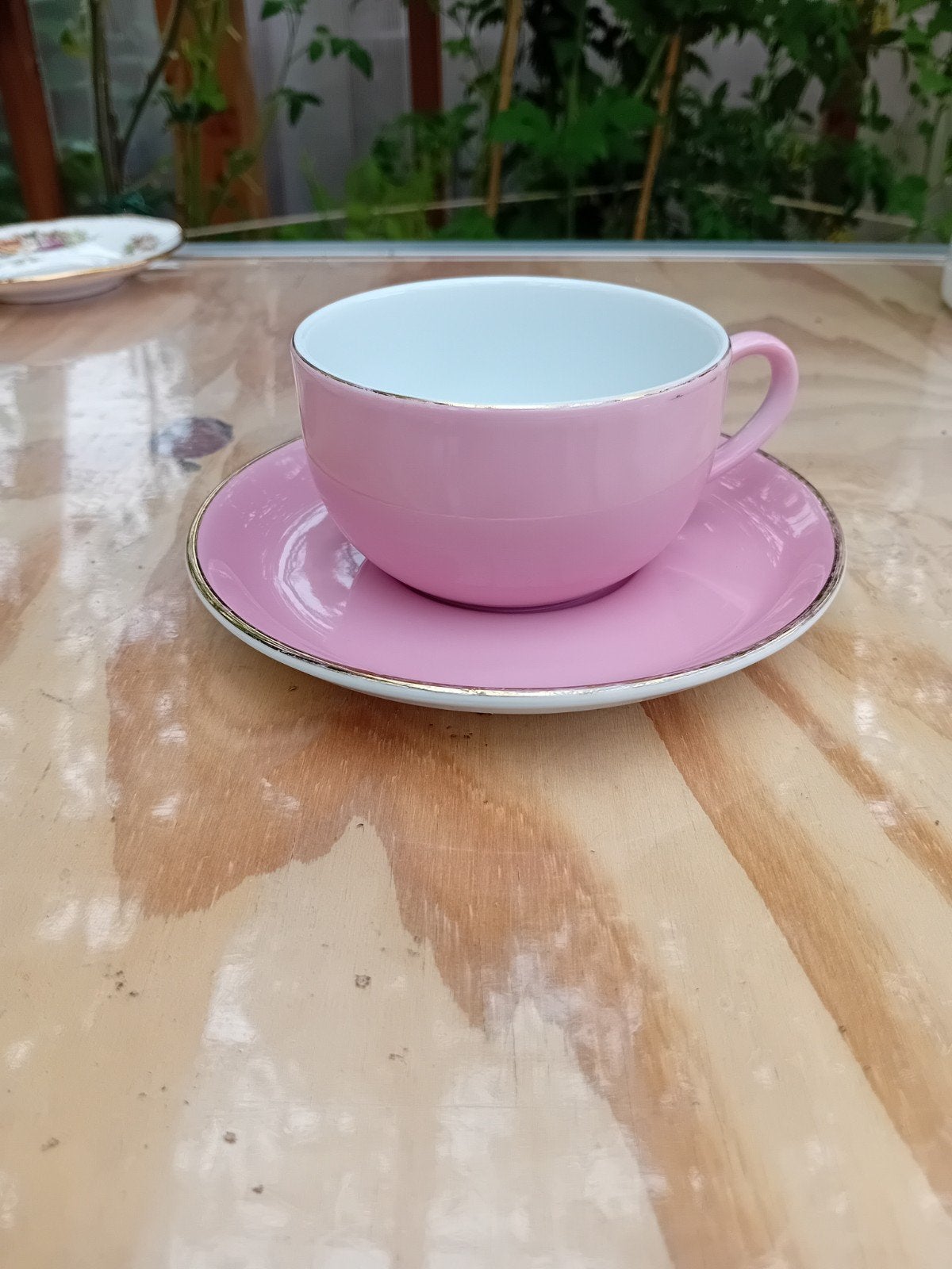 Mooi roze kopje met schotel - Mitterteich Bavaria Germany, Ophalen