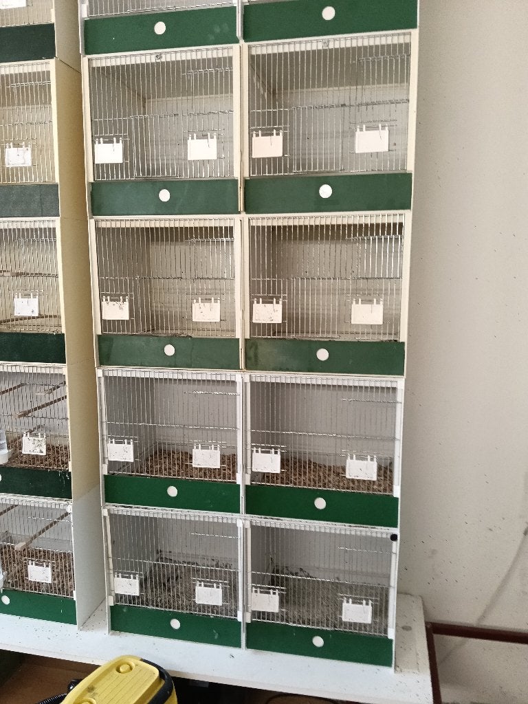 TKA heesakkers broedkooien, Ophalen, Zo goed als nieuw, Kunststof, Vogelkooi