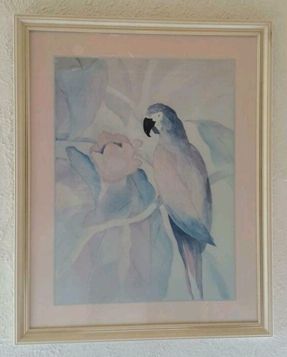 Ingelijste aquarel papegaai 78 x 62 cm, Ophalen
