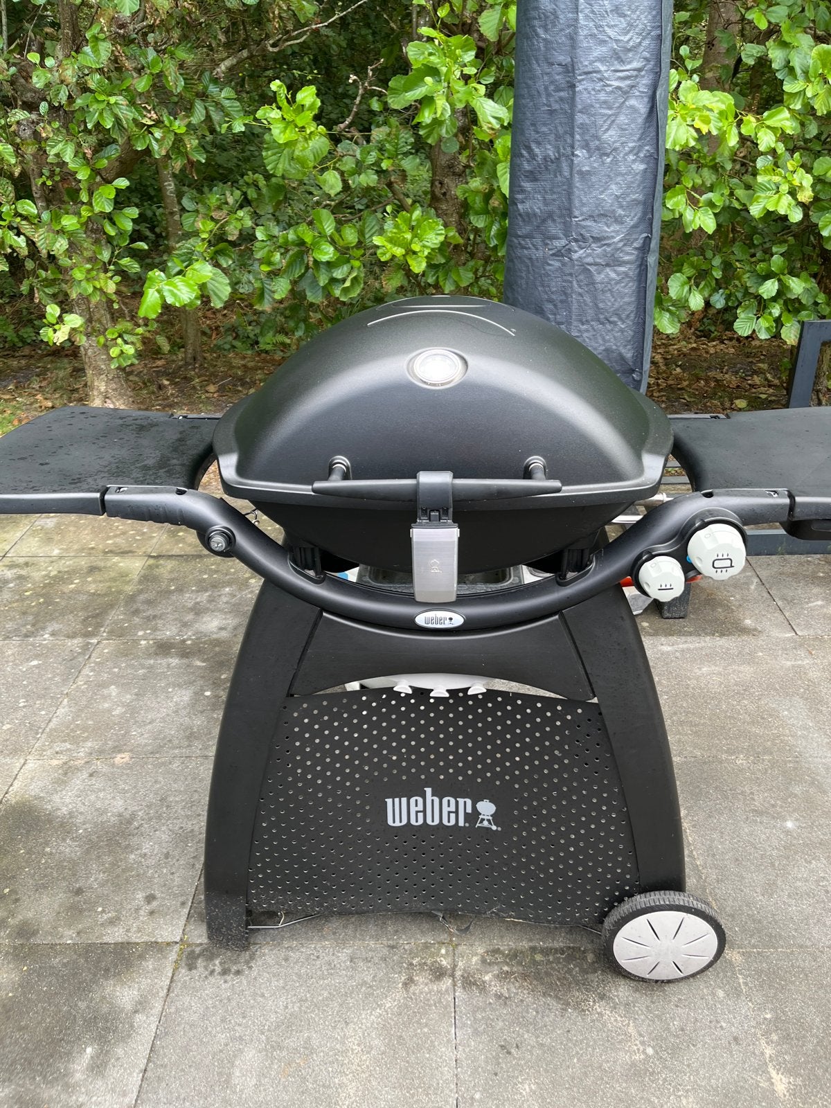 Zgan Weber Q3200 gasbarbecue met accessoires en hoes, Ophalen of Verzenden, Zo goed als nieuw