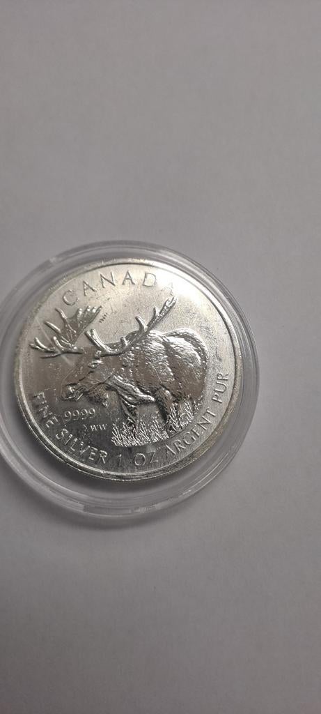 Canada 2012 Eland Zilveren Munt 1oz, Ophalen of Verzenden, Losse munt, Zilver