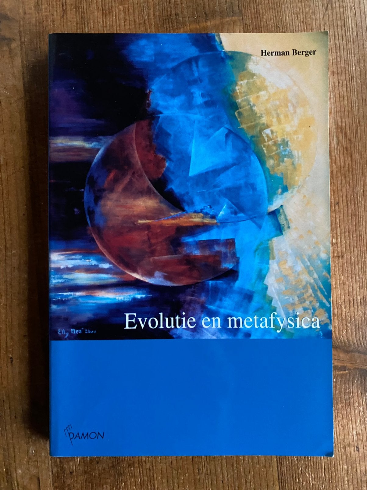 Evolutie en metafysica - H Berger, Boeken, Ophalen of Verzenden, Gelezen